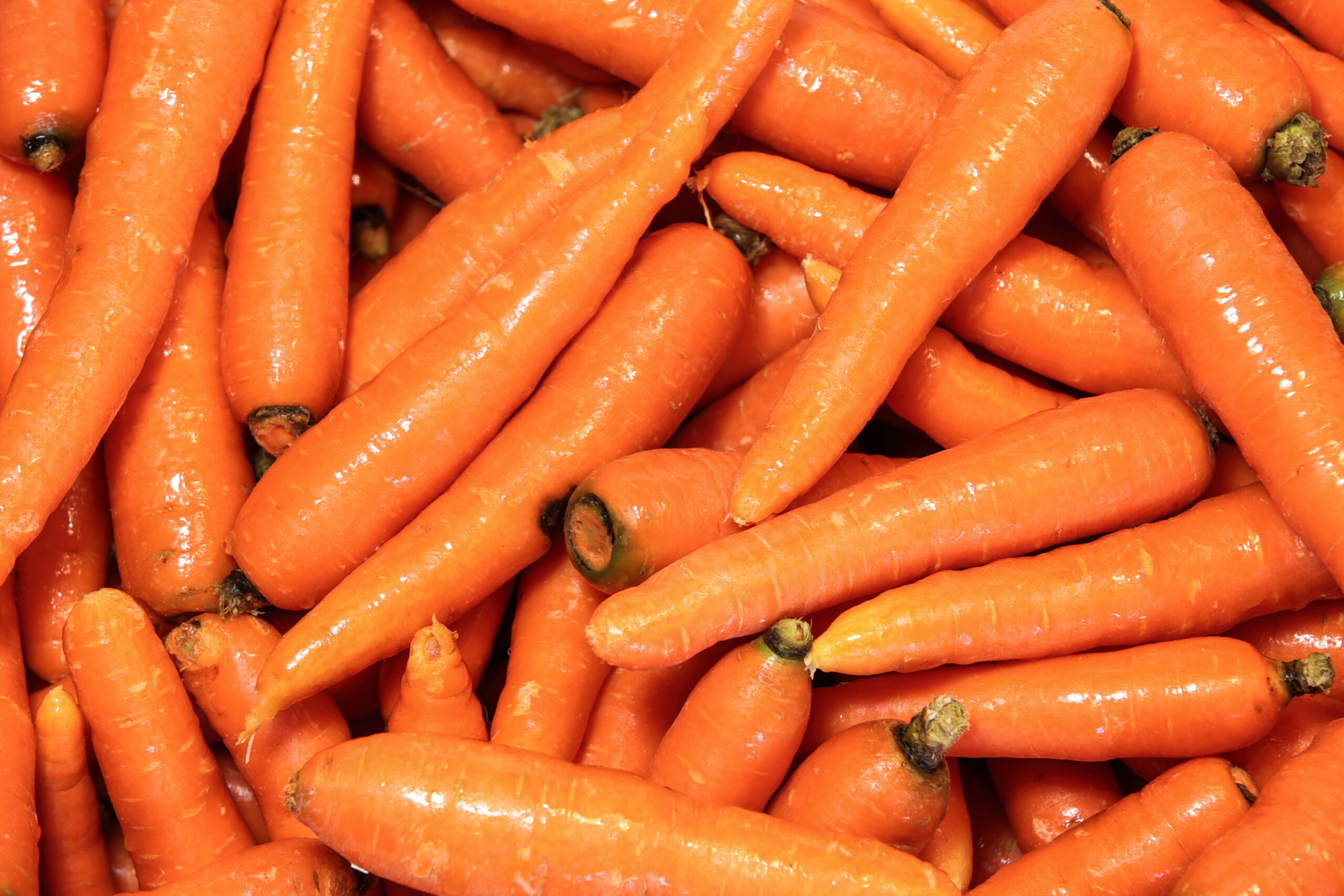 carrots