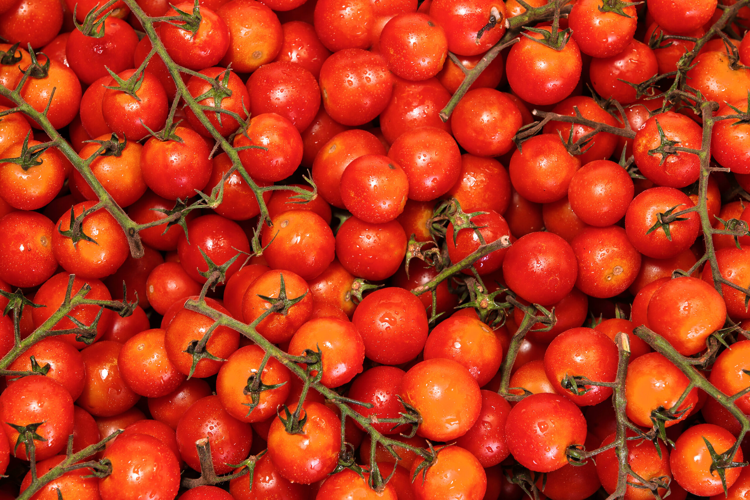 cherry tomatoes