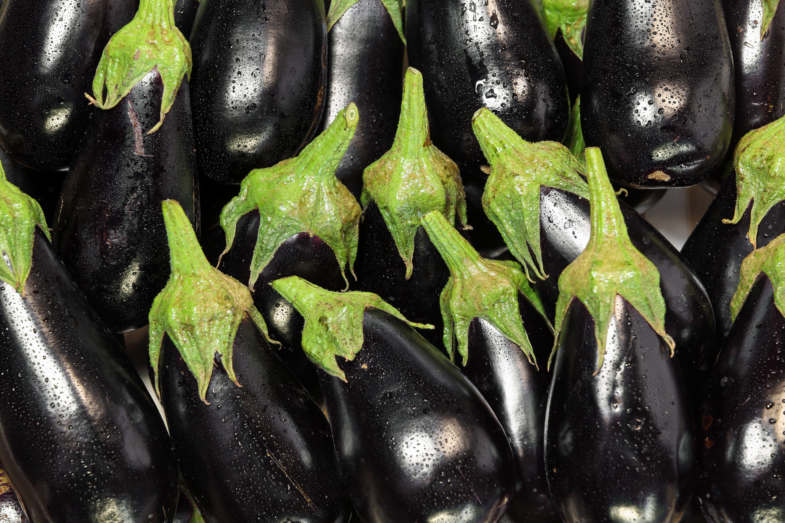 eggplants