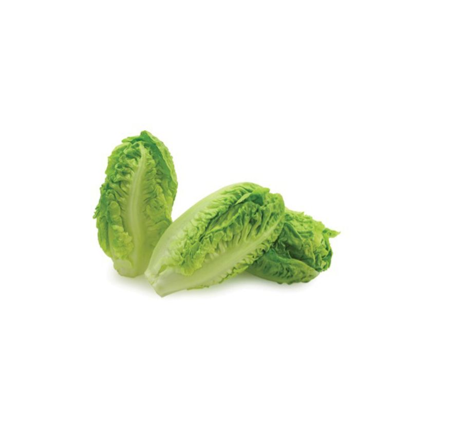 baby gem lettuce