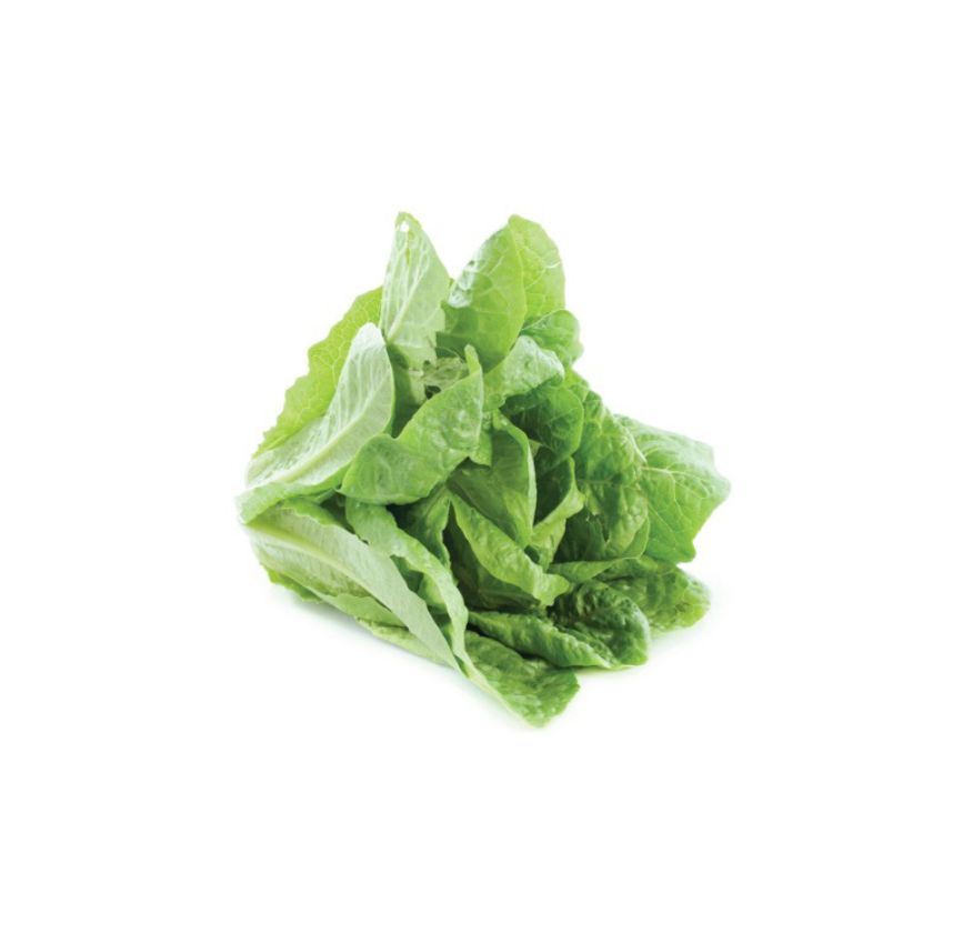 romain lettuce