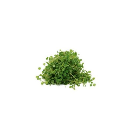 watercress